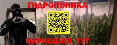 прущие крисы Кинель