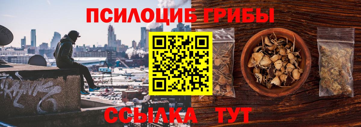 Галлюциногенные грибы Cubensis  как найти закладки  Королёв  Псилоцибиновые грибы GOLDEN TEACHER  Вход с VPN 