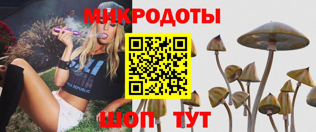 Псилоцибиновые грибы Cubensis Королёв